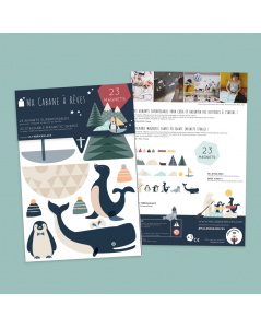 MA CABANE À RÊVES MAGNETAI, LEDYNŲ GYVŪNAI