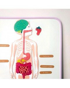 MA CABANE À RÊVES MAGNETINĖ LENTA MOKYKLA, LILAS