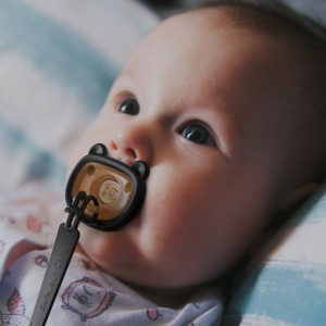 HEORSHE čiulptuko laikiklis – juodas, universalus, tinka daugeliui čiulptukų